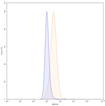 Bimagrumab Human Monoclonal Antibody