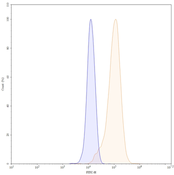 Tacatuzumab Human Monoclonal Antibody