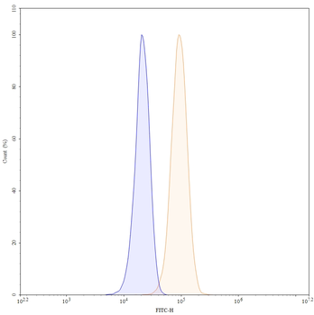 Vanucizumab Human Monoclonal Antibody
