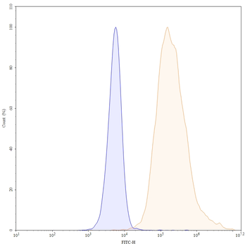 Tiragolumab Human Monoclonal Antibody