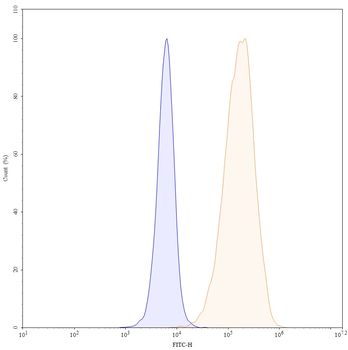 Tepoditamab Human Monoclonal Antibody