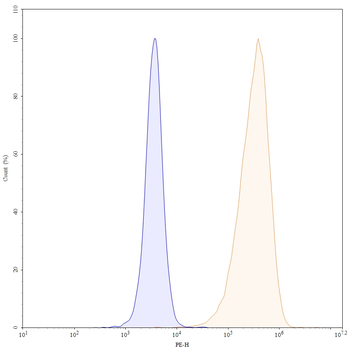Tepoditamab Human Monoclonal Antibody