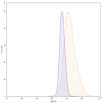 Zenocutuzumab Human Monoclonal Antibody