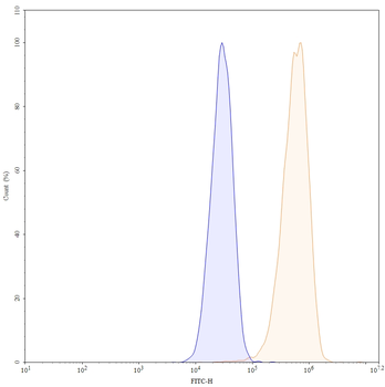 Zanidatamab Human Monoclonal Antibody