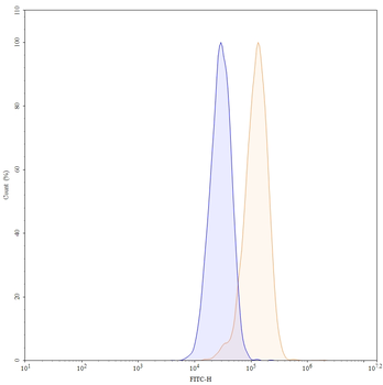 Disitamab Human Monoclonal Antibody