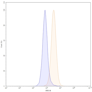Cosibelimab Human Monoclonal Antibody