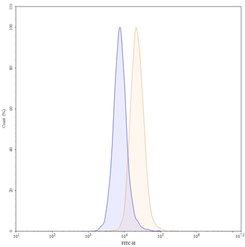Human TRAIL R2/TNFRSF10B Reference Antibody (Drozitumab, RUO)