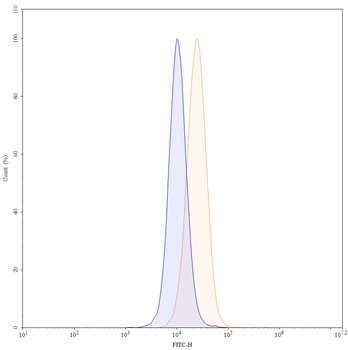 Conatumumab Human Monoclonal Antibody