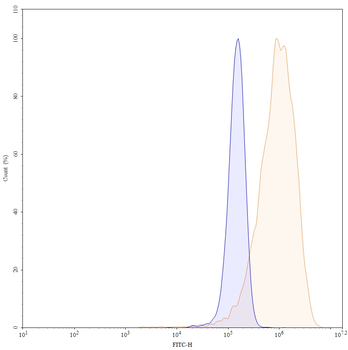 Praluzatamab Human Monoclonal Antibody