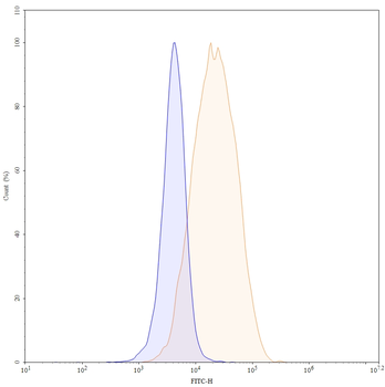 Praluzatamab Human Monoclonal Antibody