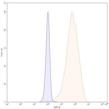 Tisotumab Human Monoclonal Antibody