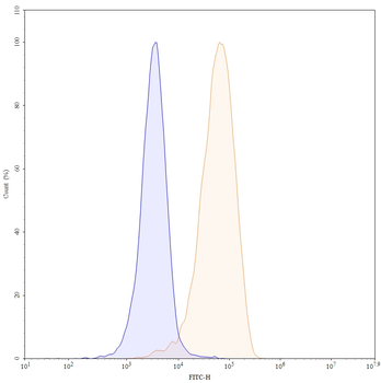 Iladatuzumab Human Monoclonal Antibody