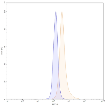 Vatelizumab Human Monoclonal Antibody