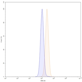 Namilumab Human Monoclonal Antibody