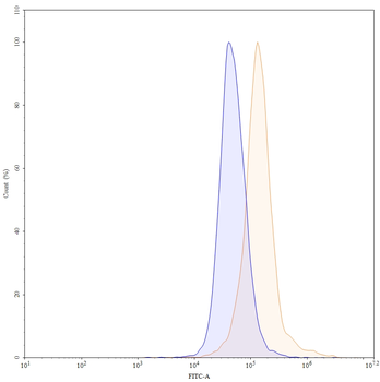 Bimekizumab Human Monoclonal Antibody