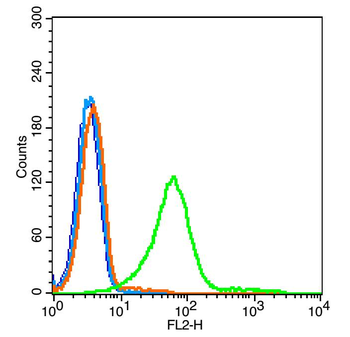 TNFR1 Rabbit Polyclonal Antibody