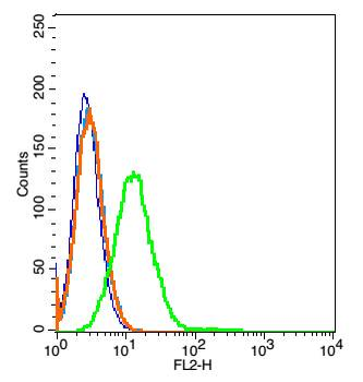 LPAP Rabbit Polyclonal Antibody