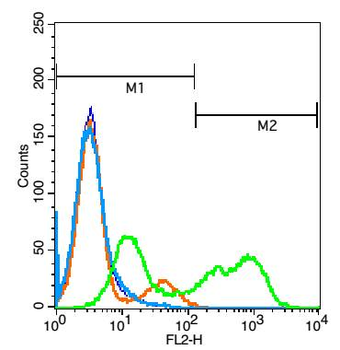 TNFSF13 Rabbit Polyclonal Antibody