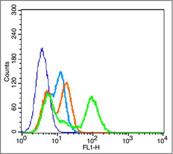 CD239 Rabbit Polyclonal Antibody