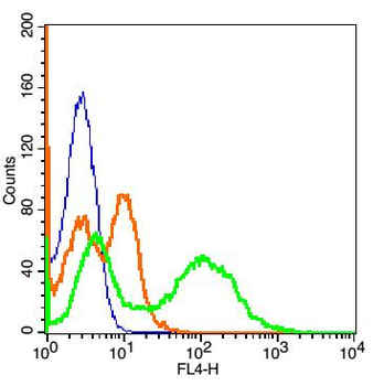 CD239 Rabbit Polyclonal Antibody