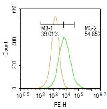 ICAM5 Rabbit Polyclonal Antibody