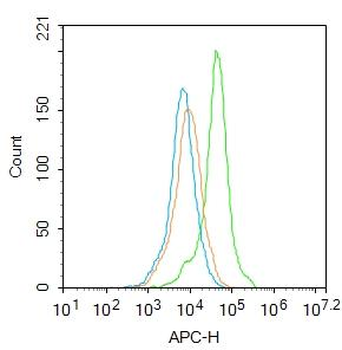 ASCL1 Rabbit Polyclonal Antibody