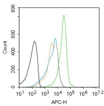 S100P binding protein Rabbit Polyclonal Antibody