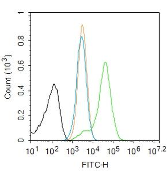 SIRT1 Rabbit Polyclonal Antibody