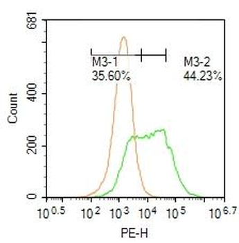 ACPT Rabbit Polyclonal Antibody
