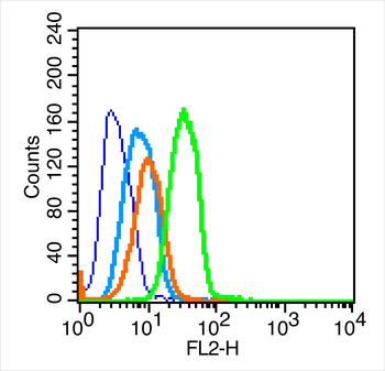 Caspase 8 Rabbit Polyclonal Antibody