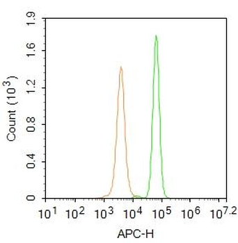 RNA polymerase II CTD repeat YSPTSPS (phospho S2) Rabbit Polyclonal Antibody (FITC)