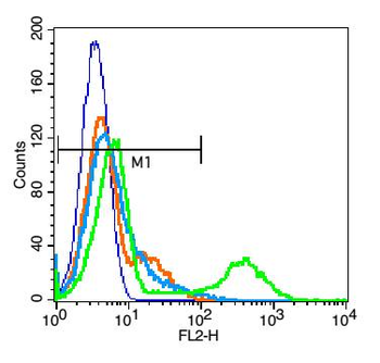 ICAM2 Rabbit Polyclonal Antibody