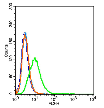 CD59 Rabbit Polyclonal Antibody
