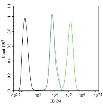 CDK9 Rabbit Polyclonal Antibody