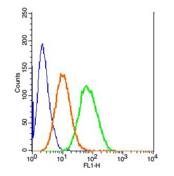 CK7 Rabbit Polyclonal Antibody