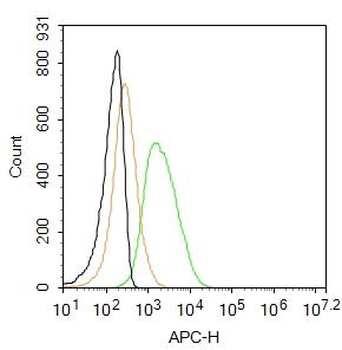 CEA Mouse Monoclonal Antibody (Cy5.5)