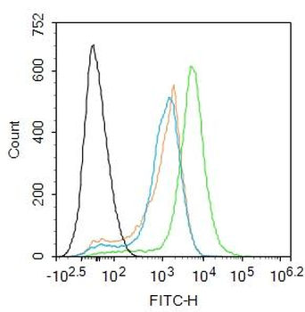E2F1 Rabbit Polyclonal Antibody
