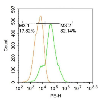Egr1 Rabbit Polyclonal Antibody