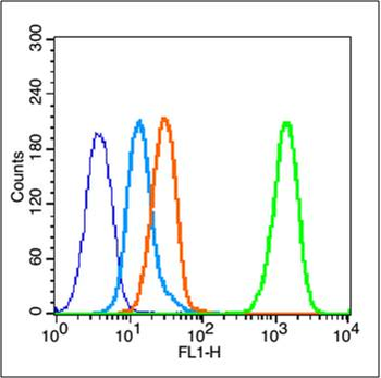 Phospho-Estrogen Receptor alpha (Tyr537) Rabbit Polyclonal Antibody