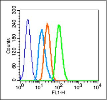 GPR30 Rabbit Polyclonal Antibody