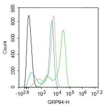 GRP94 Rabbit Polyclonal Antibody