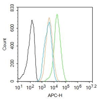 IKB alpha Rabbit Polyclonal Antibody