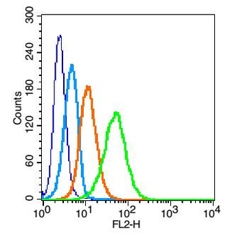 Integrin Alpha V Rabbit Polyclonal Antibody