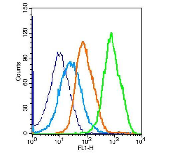 JAK2 Rabbit Polyclonal Antibody