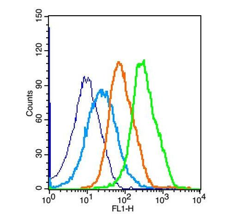 JNK1 + JNK3 Rabbit Polyclonal Antibody