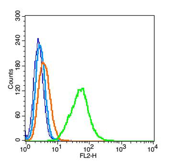 Mesothelin Rabbit Polyclonal Antibody
