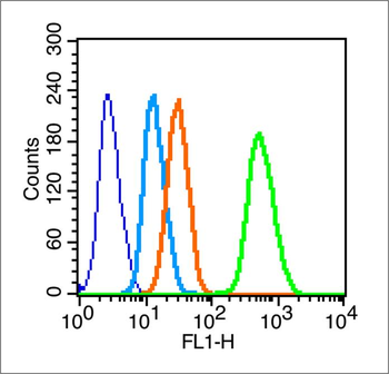 Nanog Rabbit Polyclonal Antibody