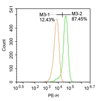NFAT2 Rabbit Polyclonal Antibody