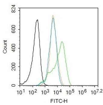 Phospho-P38 MAPK (Thr180 + Tyr182) Rabbit Polyclonal Antibody