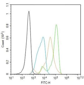 PDCD4 Rabbit Polyclonal Antibody